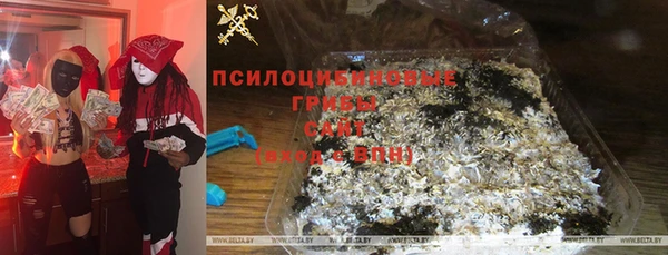 прущая мука Алзамай