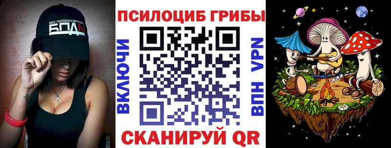 Псилоцибиновые грибы Psilocybe  Купить где  Славгород 
