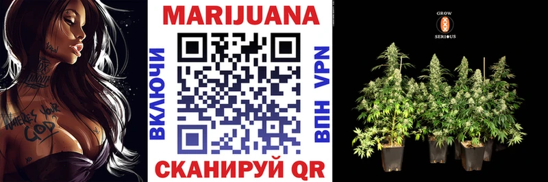 Купить где  Славгород  Каннабис THC 21% 